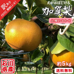 楽天市場 和梨 人気ランキング1位 売れ筋商品 楽天市場 和梨 人気ランキング1位 売れ筋商品